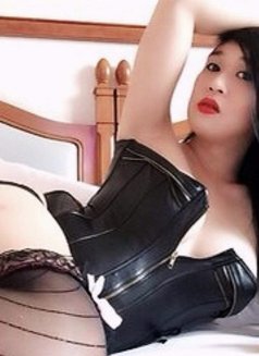 First Timer ? or just Curious ? - Transsexual escort in Seoul Photo 26 of 30