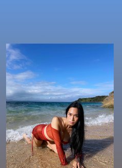 AreYouFirstimerOrCurious?LimitedDaysOnly - Transsexual escort in Bangkok Photo 24 of 24