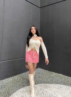 Ari - escort in Manila Photo 12 of 13