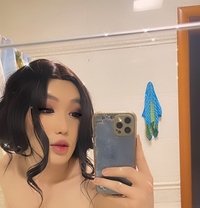 Ari - Transsexual escort in Tokyo