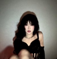 Ari - Transsexual escort in Tokyo