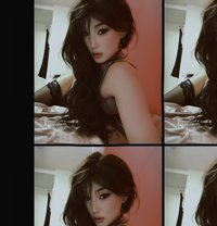 Ari - Transsexual escort in Tokyo