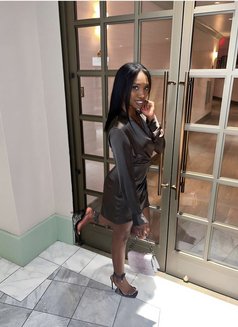 NYC Aria GFE - puta in Dubai Photo 1 of 8