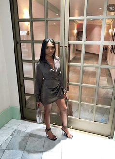 NYC Aria GFE - puta in Dubai Photo 2 of 8