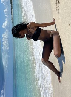 NYC Aria GFE - puta in Dubai Photo 3 of 8