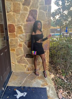 NYC Aria GFE - puta in Dubai Photo 5 of 8