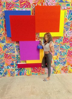 NYC Aria GFE - puta in Dubai Photo 8 of 8