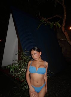 Aria Lincoln - Transsexual escort in Manila Photo 4 of 7