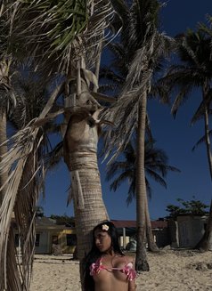 Aria Lincoln - Transsexual escort in Manila Photo 7 of 7