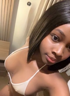 Aria - puta in Ajmān Photo 5 of 5