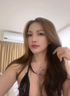Aria Thailand Big Boobs Girl - escort in Kuala Lumpur Photo 11 of 14