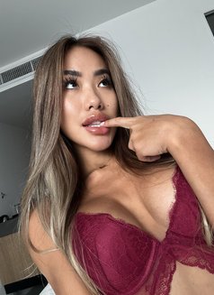 Aria xxx - escort in Phuket Photo 5 of 7