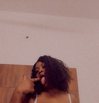 Aria Zirakpur - puta in Chandigarh