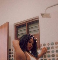 Aria Zirakpur - puta in Chandigarh