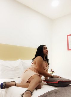 Ariana Aliazam - Transsexual escort in Jakarta Photo 7 of 12