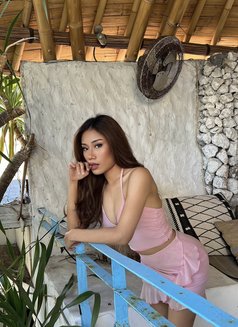 Ariana Gazelle - escort in Bali Photo 3 of 4