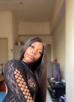 Ariana Sugar - puta in Kuala Lumpur Photo 1 of 1