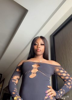 Ariana Sugar - escort in Kuala Lumpur Photo 3 of 5