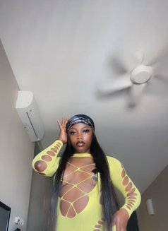 Ariana Sugar - escort in Kuala Lumpur Photo 5 of 5