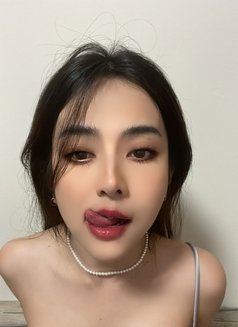 Arie - Transsexual escort in Bangkok Photo 11 of 13