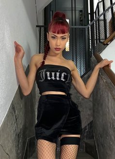 Ariel baby ts - Transsexual escort in Madrid Photo 19 of 28