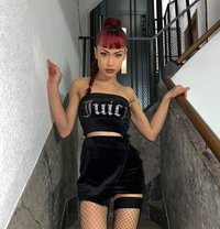 Ariel baby ts - Transsexual escort in Barcelona