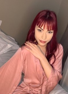 Ariel baby ts - Transsexual escort in Madrid Photo 28 of 28