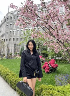 Arijung x VV 69 lovers - escort in Seoul Photo 15 of 15