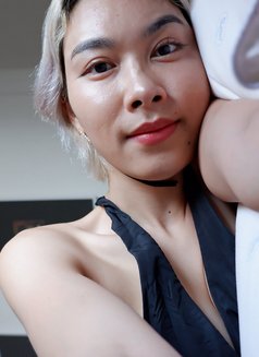 Arijung x VV 69 lovers - escort in Seoul Photo 24 of 27