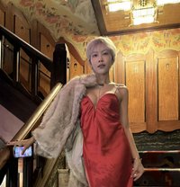 Arijung x VV 69 lovers - escort in Bangkok Photo 14 of 17