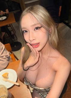 Arika japanese babygirl - Transsexual escort in Manila Photo 10 of 10