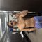 Arima Young🇧🇷 - Male escort in Porto