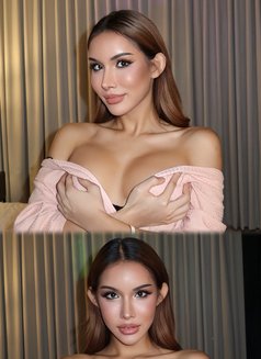 Arin Ladyboy Thailand - Transsexual escort in Riyadh Photo 18 of 20