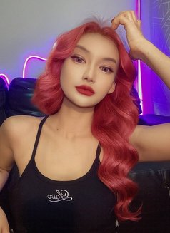 ARINA - escort in Bangkok Photo 9 of 17