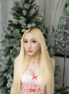 Aris suck Very good🇹🇭 - Transsexual escort in Bangkok Photo 17 of 20