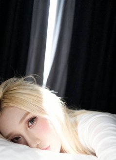 Aris suck Very good🇹🇭 - Transsexual escort in Bangkok Photo 18 of 20