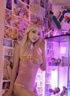 Aris suck Very good🇹🇭 - Transsexual escort in Bangkok Photo 19 of 20