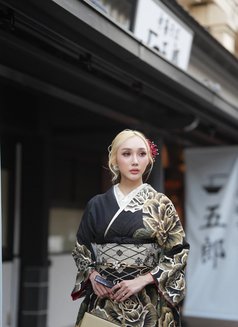 Aris suck Very good🇹🇭 - Transsexual escort in Tokyo Photo 21 of 21