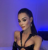 Aris - Acompañantes transexual in Pattaya