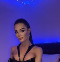 Aris - Acompañantes transexual in Pattaya