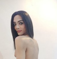 Aris - Transsexual escort in Pattaya