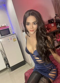 Aris - Acompañantes transexual in Pattaya Photo 4 of 6