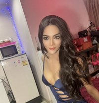 Aris - Transsexual escort in Pattaya