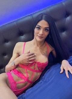 Aris - Transsexual escort in Pattaya Photo 5 of 6