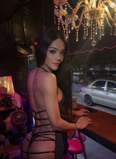 Aris - Transsexual escort in Pattaya Photo 6 of 11