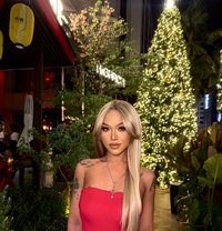 Ariya - Acompañantes transexual in Bangkok