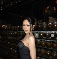 Aphina Top Horny - Acompañantes transexual in Bangkok Photo 15 of 18