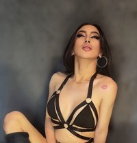 ARKI BIG DICK MISTRESS - Transsexual escort in Bangkok Photo 25 of 25
