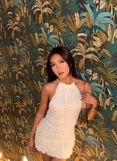 Armani - Transsexual escort in Angeles City Photo 14 of 16