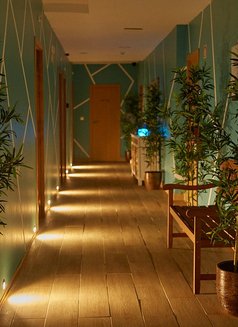 Artemis Lisbon Spa Tantric Massage - masseuse in Lisbon Photo 1 of 28